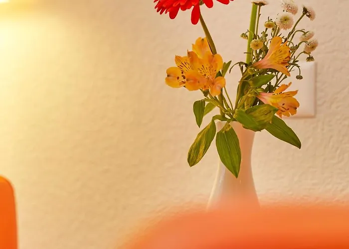 阿卡迪亚洛迦诺h4酒店 酒店 4*